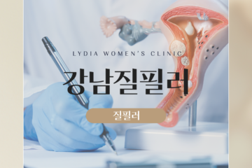 강남질필러