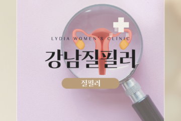 강남질필러